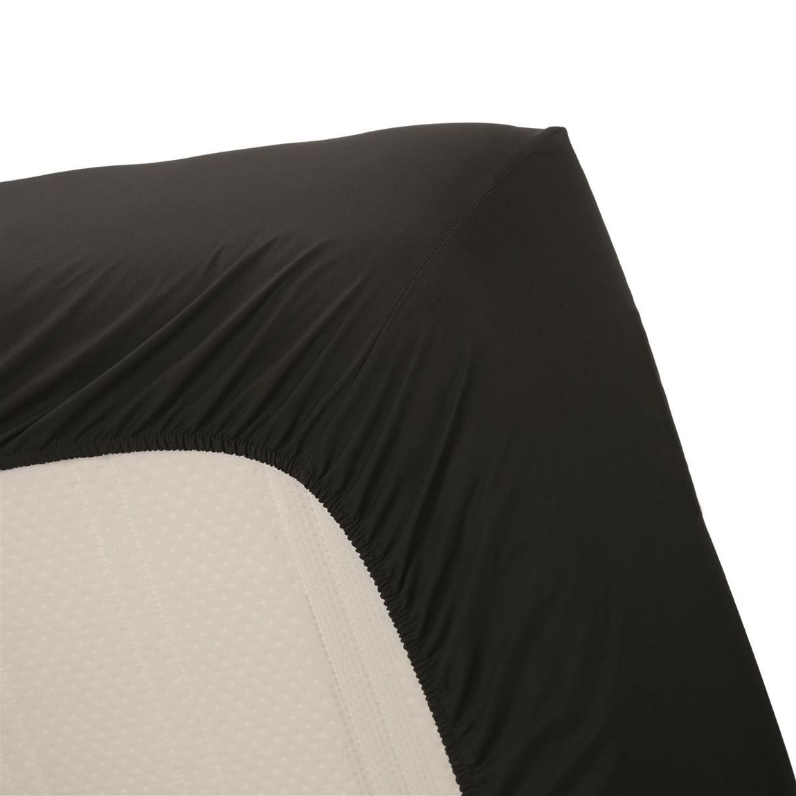Cotton Uni HL Spannbettlaken Schwarz