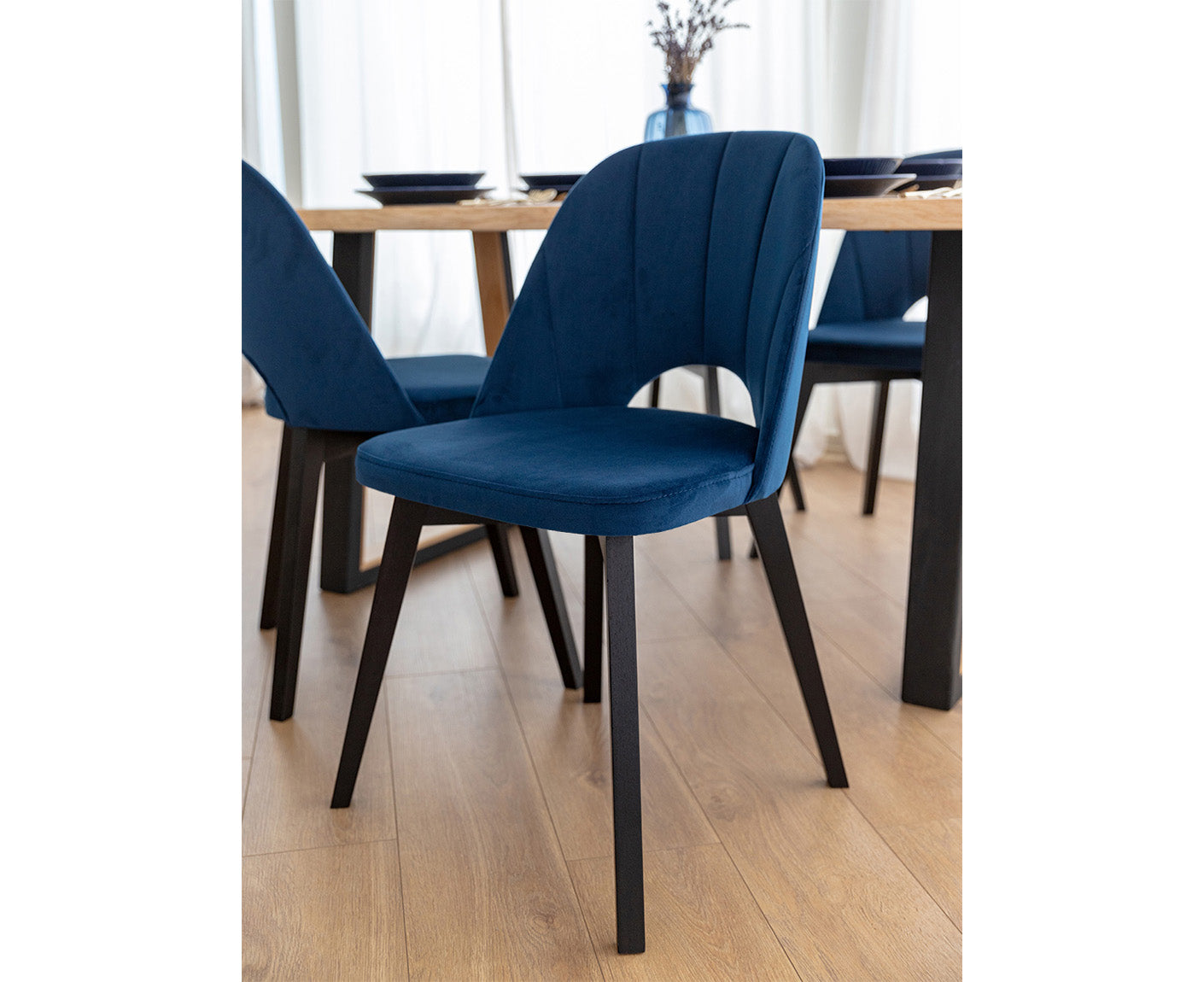 Breno Esszimmerstuhl Massivholz Buche Schwarz/ Blau Samt