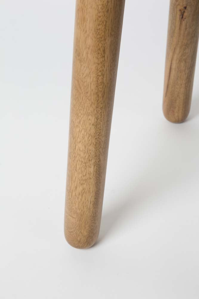 Dendron Beistelltisch Ø 43 cm Mangoholz