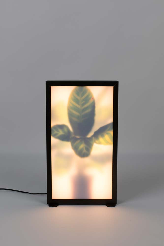 Grow Flurlampe M Braun - Voelpe