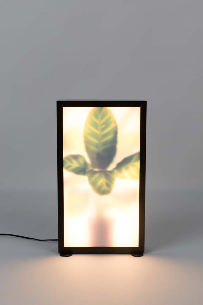 Grow Flurlampe M Braun - Voelpe