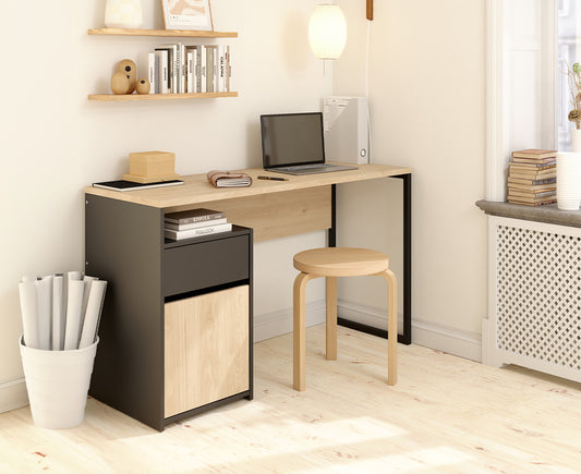 Function Plus Schreibtisch mit 1 Tür + 1