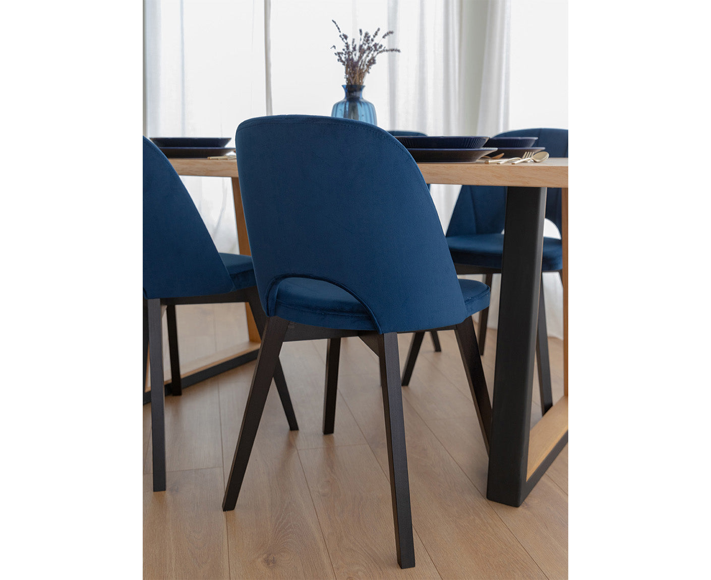 Breno Esszimmerstuhl Massivholz Buche Schwarz/ Blau Samt