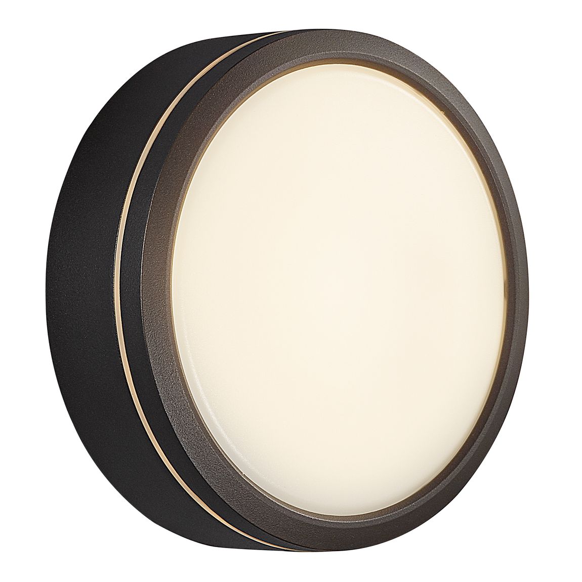 AVA Wandlampe Outdoor LED Bluetooth Schwarz / Opalweiß