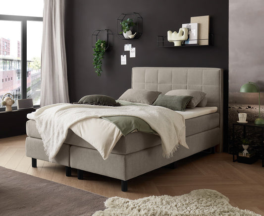Pastida Boxbett / Polsterbett 140x200 - 180x200 cm