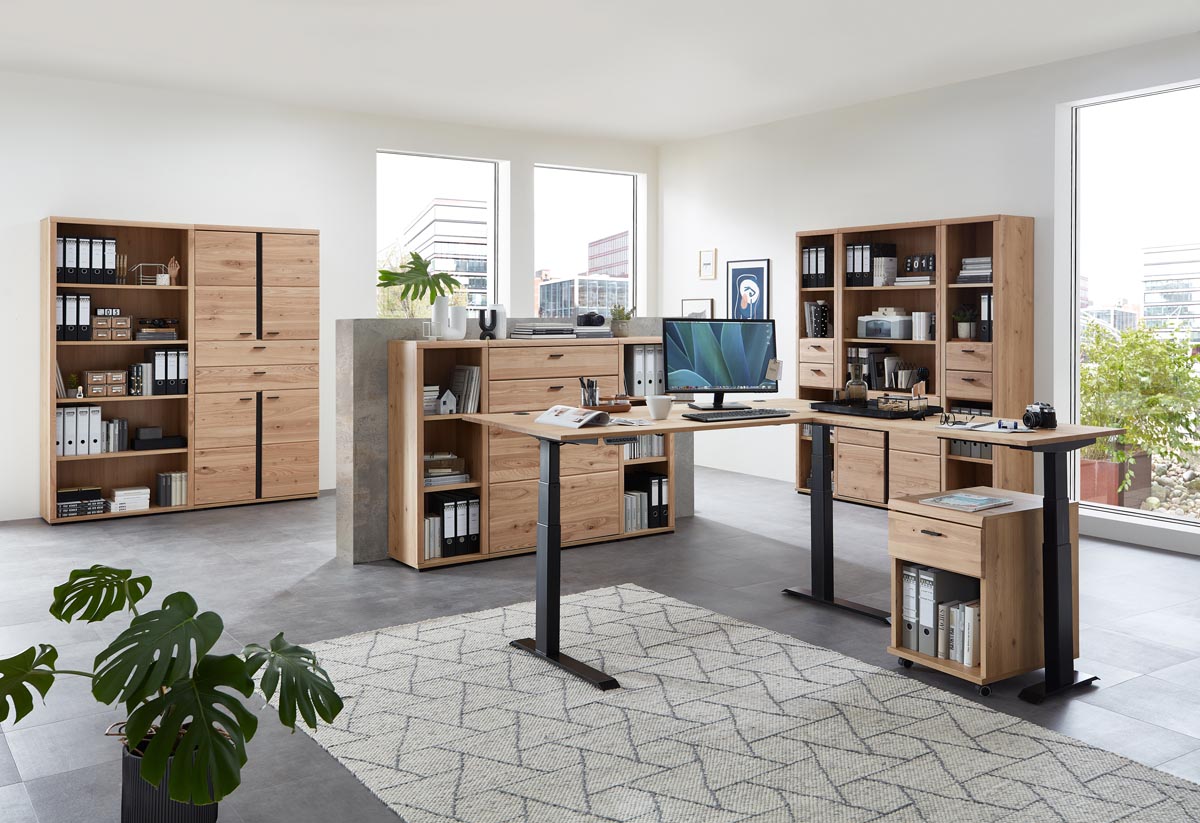 Sonos 10-teiliges Bürokomplettset Altesche massiv / Artisan Eiche