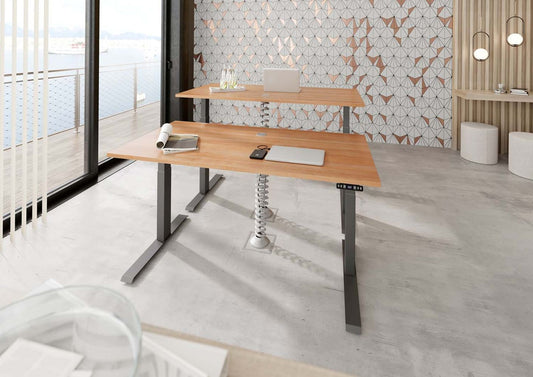 Höhenverstellbarer Schreibtisch XDKB | 2-Motoren | 120 - 180 cm | elektrisch | Nussbaum