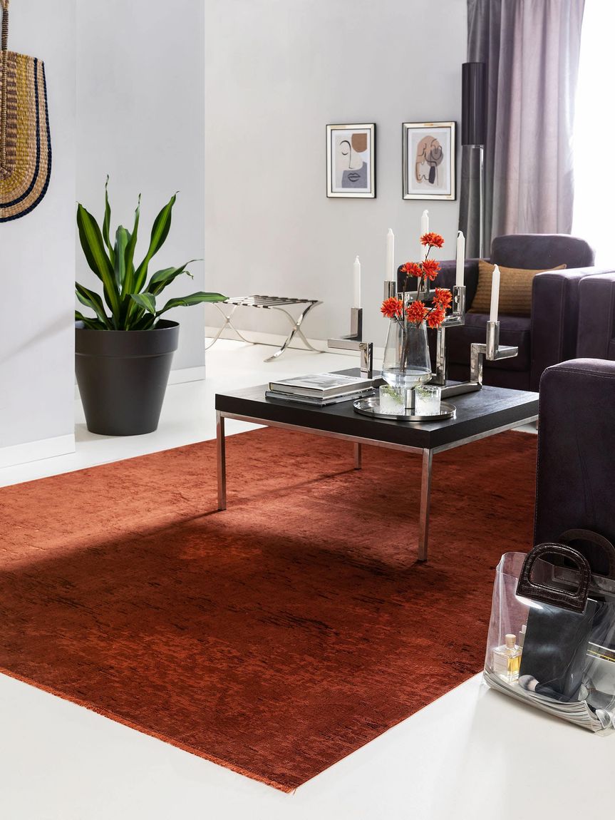 Teppich Luxor Kupfer