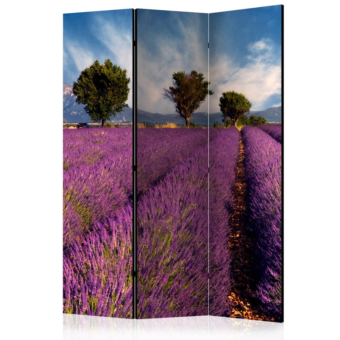 3-teiliges Paravent - Lavender field in Provence, France [Room Dividers]