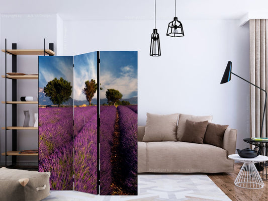 3-teiliges Paravent - Lavender field in Provence, France [Room Dividers]